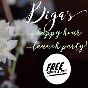BIGA Happy Hour Launch Party