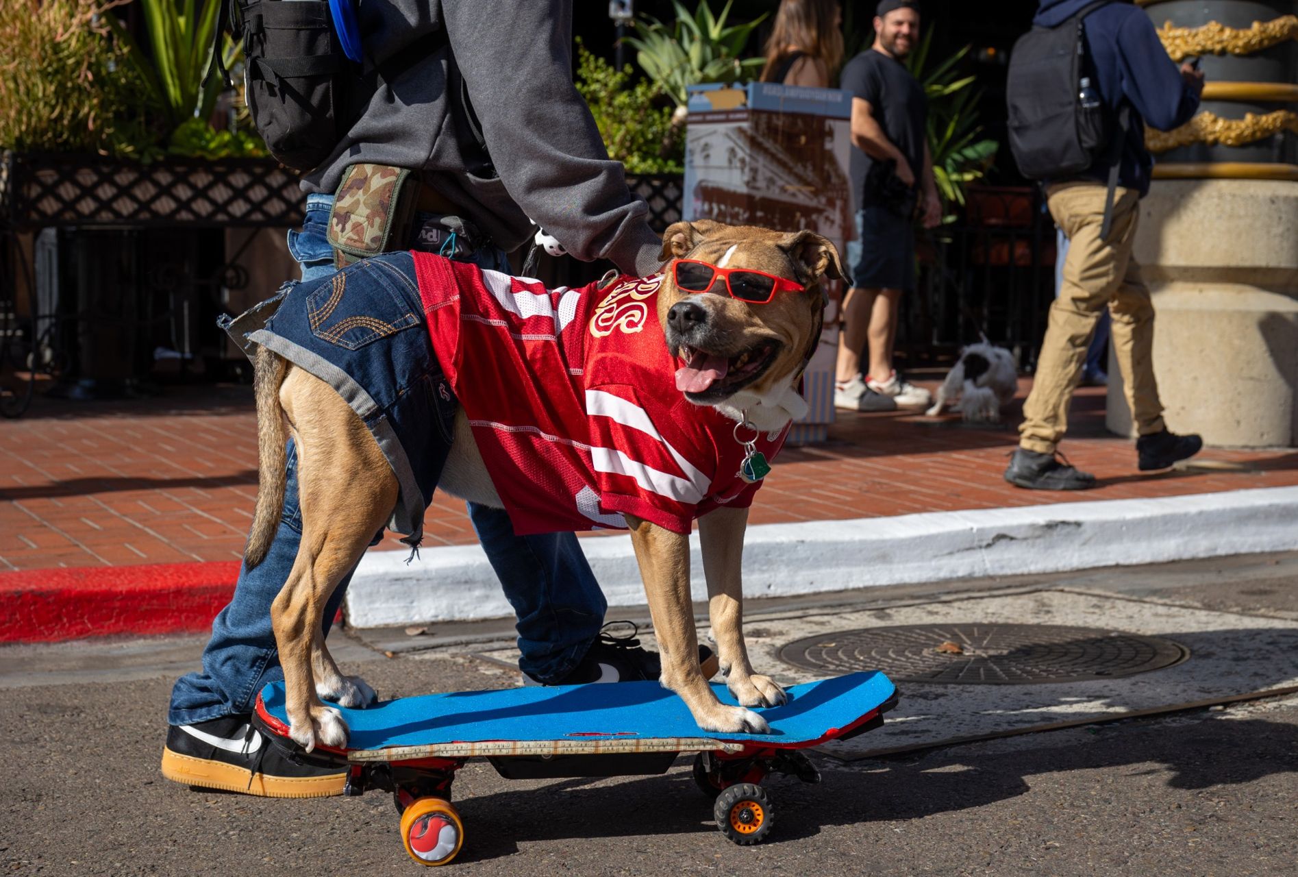 Pet Parade in Gaslamp Quarter