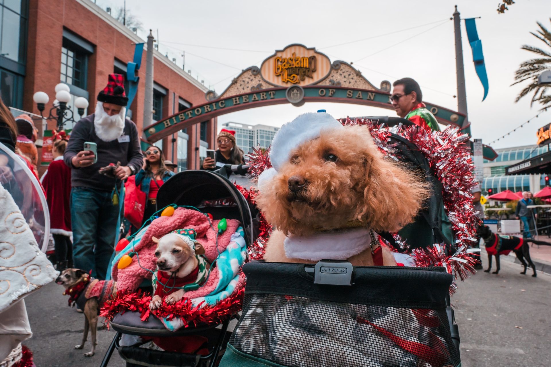 downtown san diego gaslamp quarter holiday pet parade