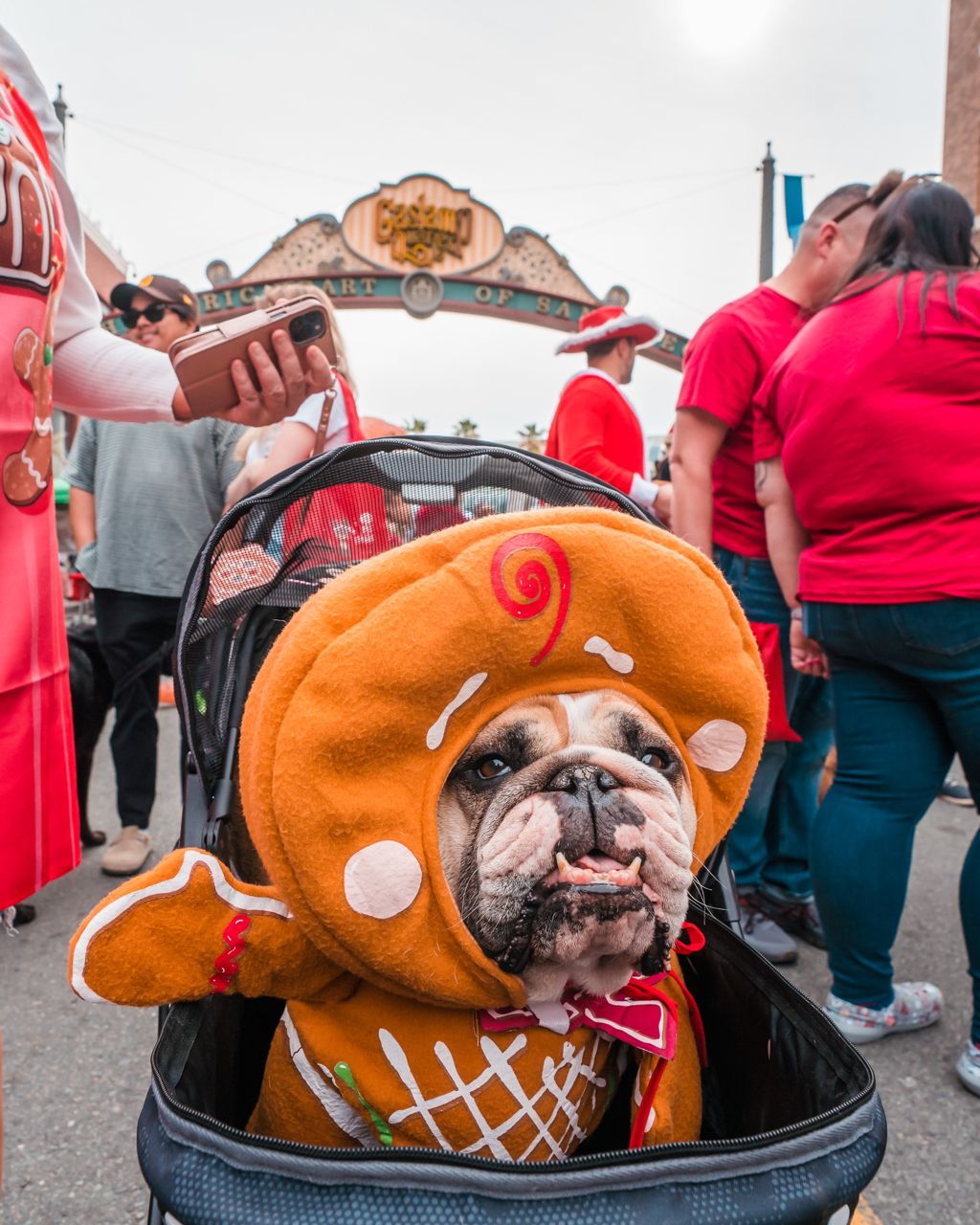 Pet Parade in Gaslamp Quarter