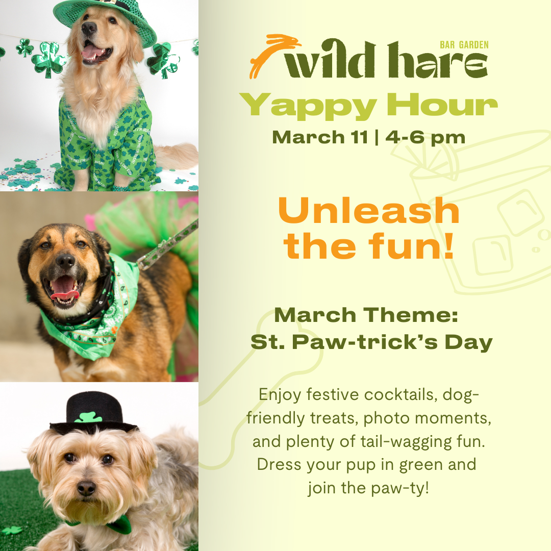 downtown san diego gaslamp quarter blo blow dry bar